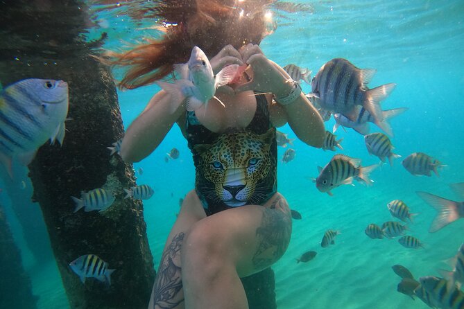 VIP San Juan: Snorkeling Tour with Turtles with Free Videos - Where You Start and How to Plan the Logistics