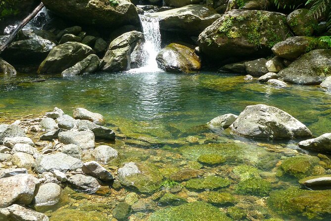 Waterfall Hike in Remote Area of El Yunque Rainforest; San Juan - From Condado to the Espiritu Santo: how the timing really works