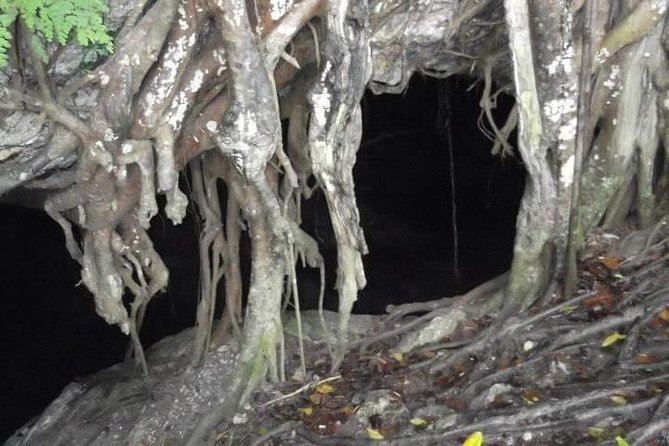 Window Cave Walking Tour from San Juan - Reaching Cueva Ventana: what you’re actually hiking toward