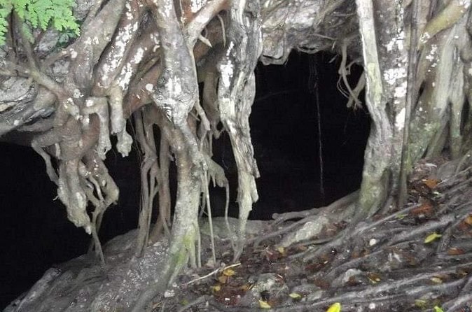Window Cave Walking Tour from San Juan - The best part: window-like openings with Caribbean Sea views