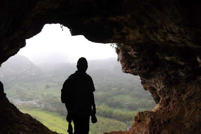 Window Cave Walking Tour from San Juan - Petroglyphs and cultural context: Taíno art along the way