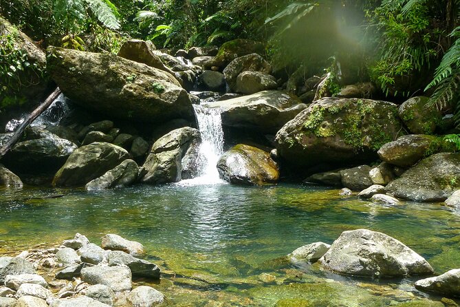 Yunque & Piñones Tour Hike Eat & Adventure with a Local; San Juan - Key points at a glance