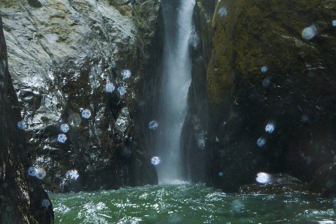 Yunque & Piñones Tour Hike Eat & Adventure with a Local; San Juan - Small group dynamics: why the day feels personal