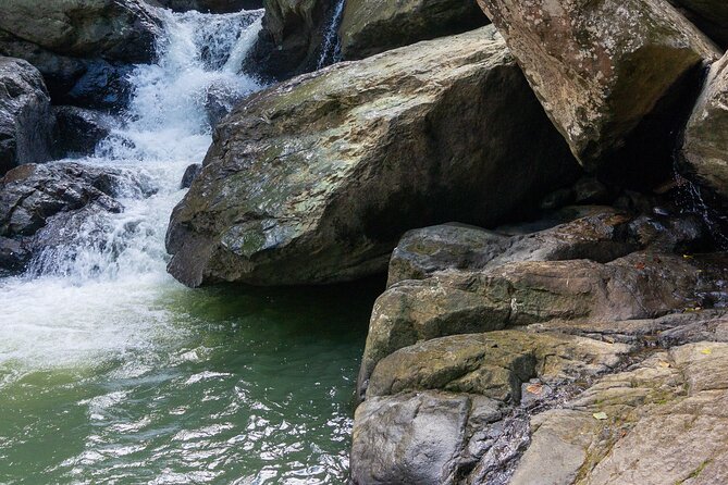 Yunque & Piñones Tour Hike Eat & Adventure with a Local; San Juan - What’s included, what’s not, and how $160 works