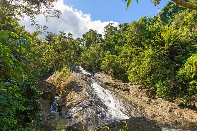 Yunque Rainforest River Rope Swing with Waterslide and Beach Tour - Price and Value: Is $109 Worth It?