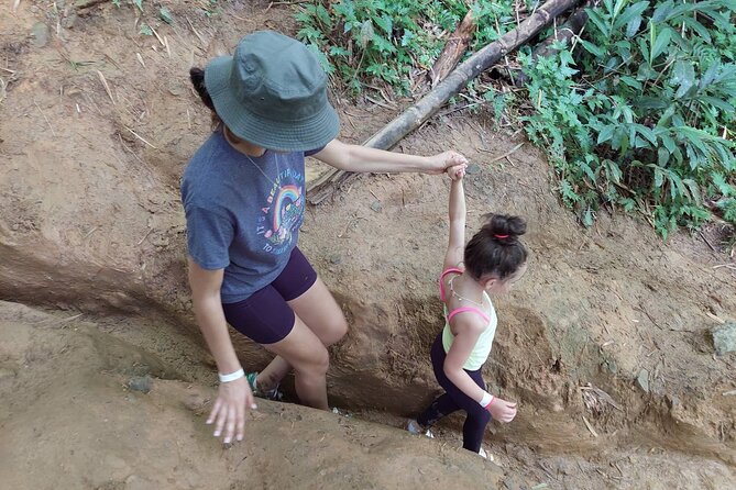 Yunque Rainforest Tour in Puerto Rico - Value check: is $69 worth it compared with bigger El Yunque tours?