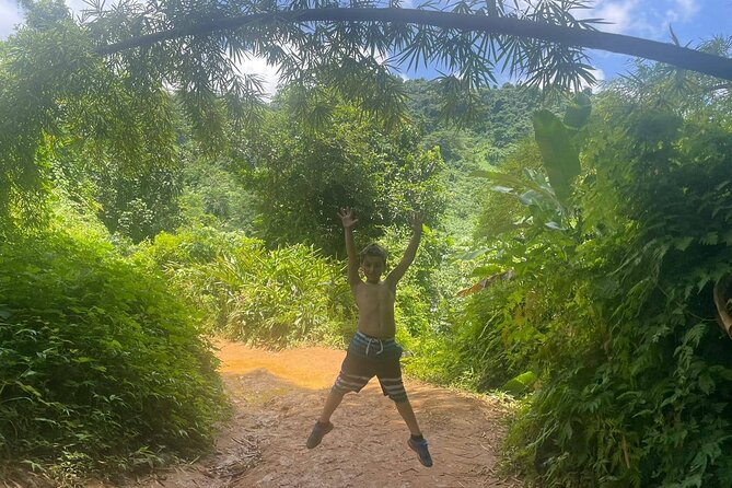 Yunque Rainforest Tour in Puerto Rico - Who this tour is best for