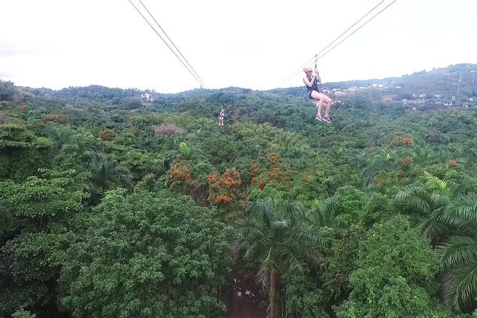 Zipline Canopy Tour with Transport from San Juan - Key things to know before you book