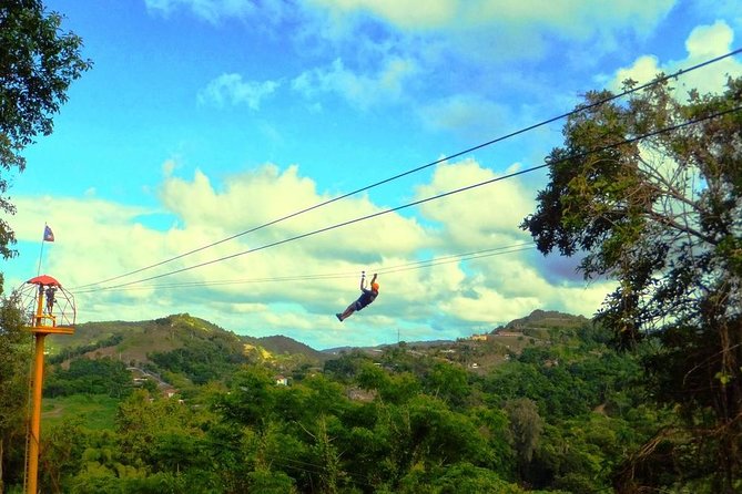 Zipline Canopy Tour with Transport from San Juan - The zipline circuit: 8 sections, platforms up to about 100 feet, and long gaps