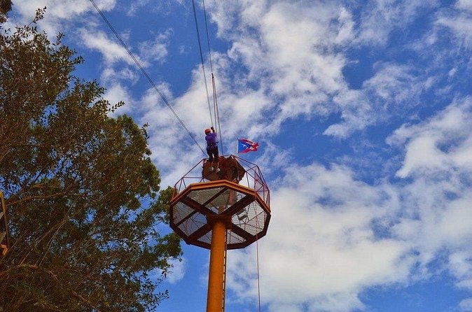 Zipline Canopy Tour with Transport from San Juan - El Yunque from above: why canopy riding feels different than a lookout
