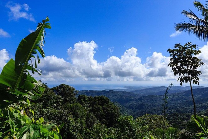 Zipline Canopy Tour with Transport from San Juan - Safety and who should think twice before booking