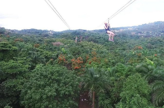 Zipline Canopy Tour with Transport from San Juan - Timing: how the 4 hours actually feel on your day