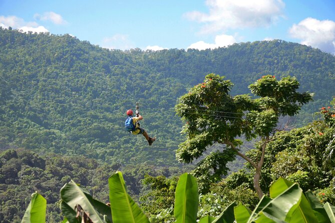 Ziplining at the Rainforest in Puerto Rico - Key Highlights You’ll Care About
