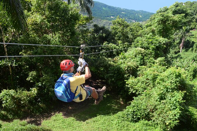 Ziplining at the Rainforest in Puerto Rico - The 2-Hour Adventure Window: AM or PM Sessions That Leave You Free