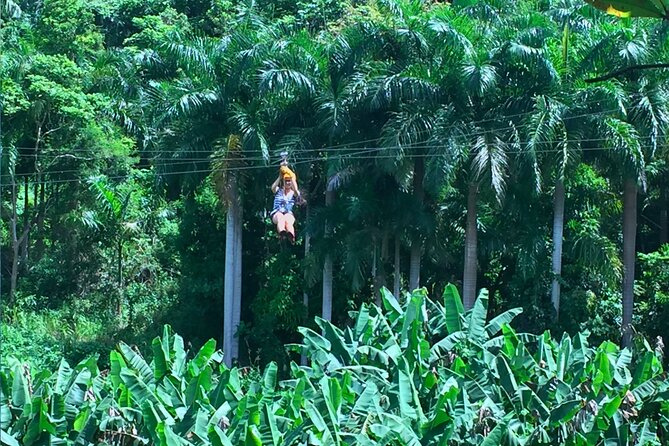 Ziplining at the Rainforest in Puerto Rico - Safety First, Built Into the Day (Not Added at the End)