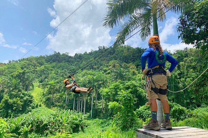 Ziplining at the Rainforest in Puerto Rico - Meeting Point in Luquillo: How to Think About Getting There