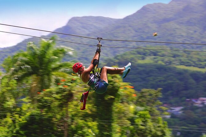 Ziplining at the Rainforest in Puerto Rico - Pairing This Tour With El Yunque and Fajardo Makes Sense