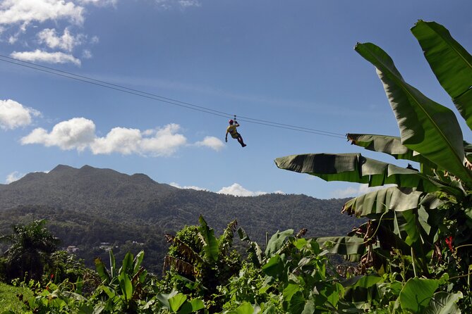 Ziplining at the Rainforest in Puerto Rico - The Lineup: Five Ziplines, an Easy Rappel, and a Canopy Bridge